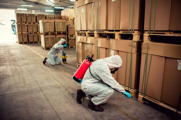 Best Local Pest Control Services  in Riverside, NY