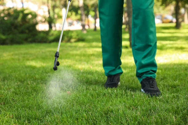 Best Best Pest Control Companies  in Riverside, NY