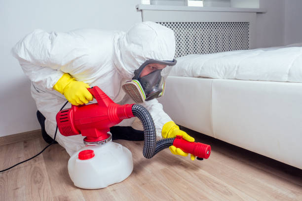 Best Insect Control  in Riverside, NY