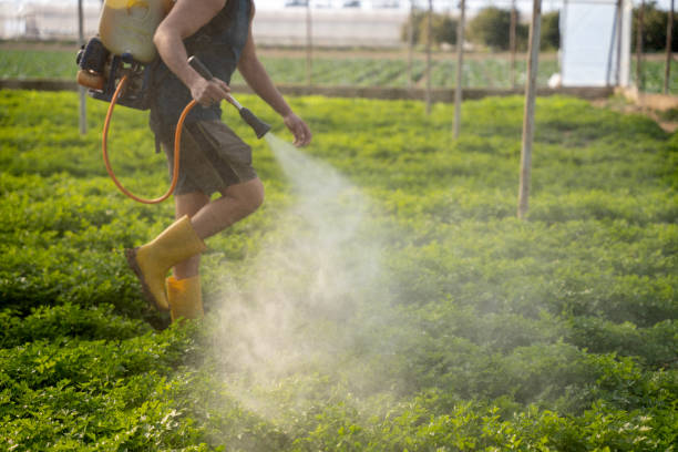 Best Pest Prevention Services  in Riverside, NY