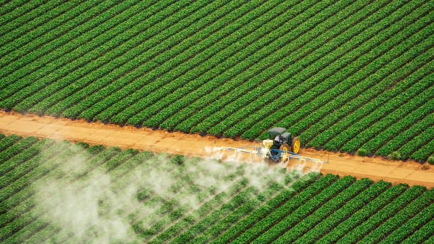 Best Pest Removal Services  in Riverside, NY